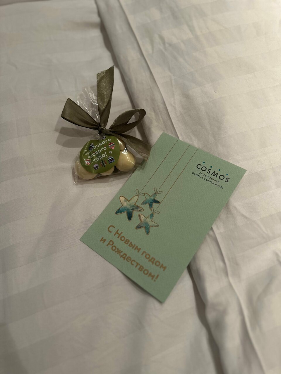 Гостиница Cosmos St. Petersburg Olympia Garden Hotel Санкт-Петербург-123