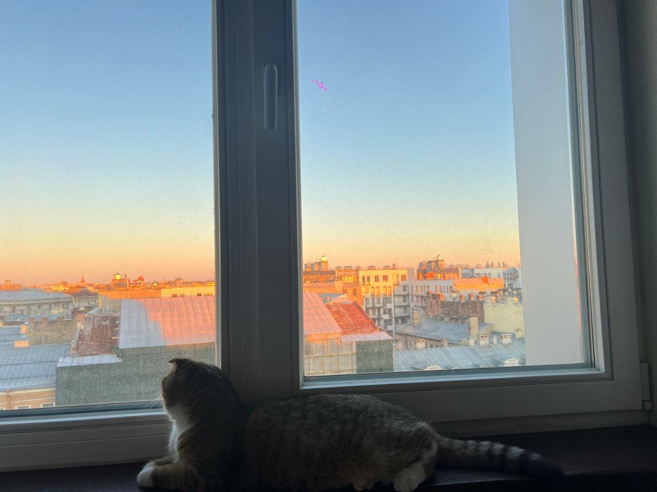 Гостиница Cosmos St. Petersburg Olympia Garden Hotel Санкт-Петербург-194