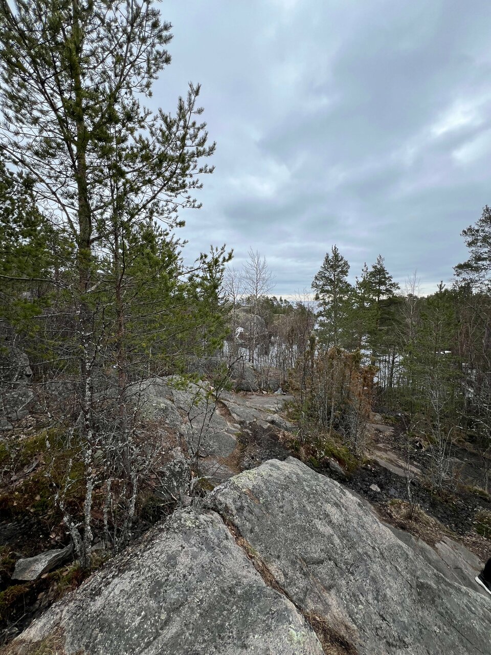 Гостиница Cosmos St. Petersburg Olympia Garden Hotel Санкт-Петербург-116