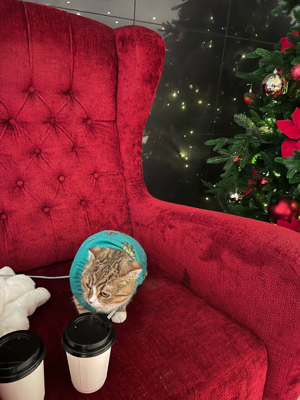 Гостиница Cosmos St. Petersburg Olympia Garden Hotel Санкт-Петербург-179