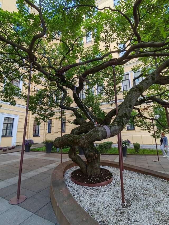 Гостиница Cosmos St. Petersburg Olympia Garden Hotel Санкт-Петербург-91