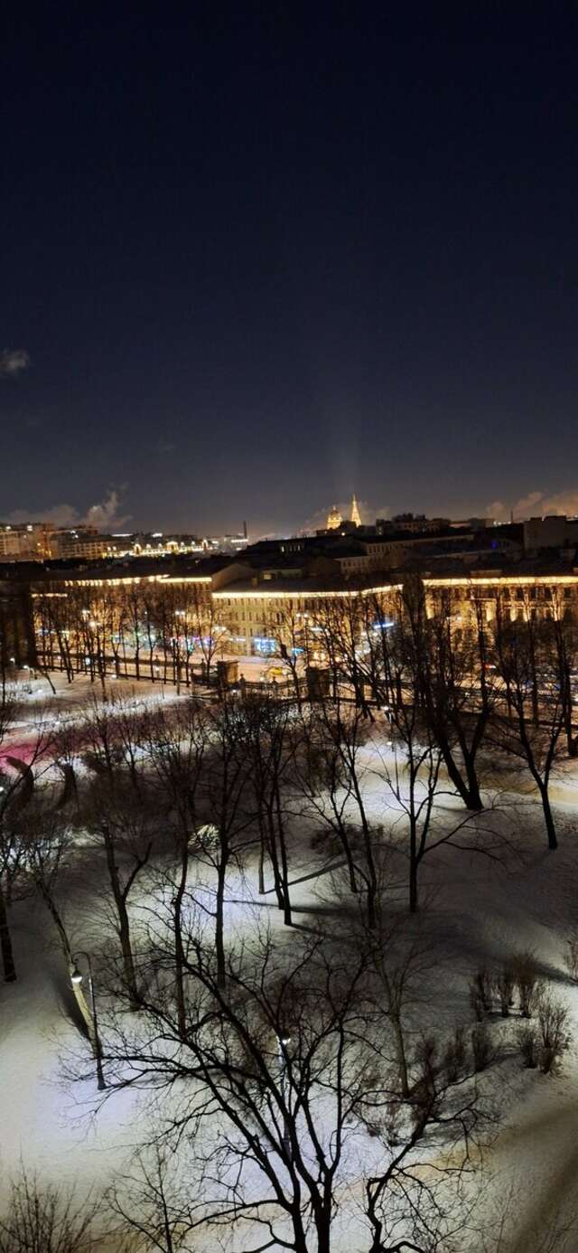 Гостиница Cosmos St. Petersburg Olympia Garden Hotel Санкт-Петербург-234