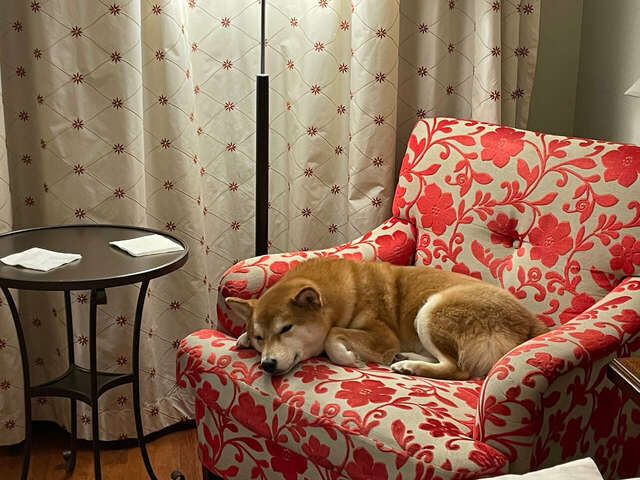 Гостиница Cosmos St. Petersburg Olympia Garden Hotel Санкт-Петербург-117