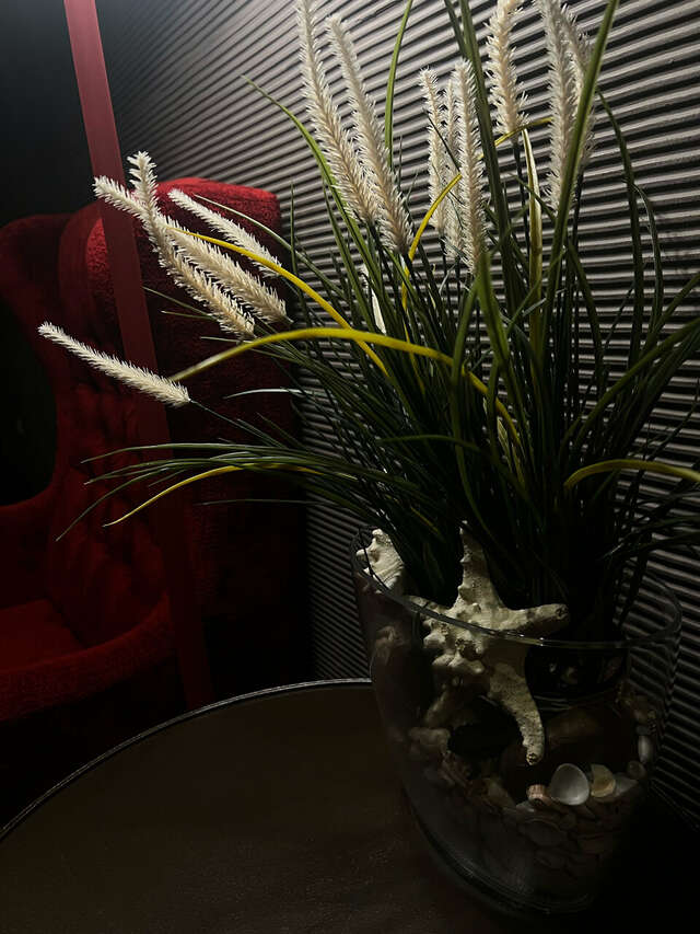 Гостиница Cosmos St. Petersburg Olympia Garden Hotel Санкт-Петербург-160