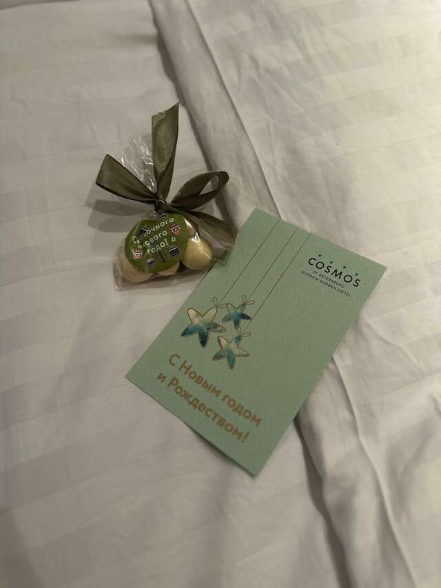 Гостиница Cosmos St. Petersburg Olympia Garden Hotel Санкт-Петербург-122