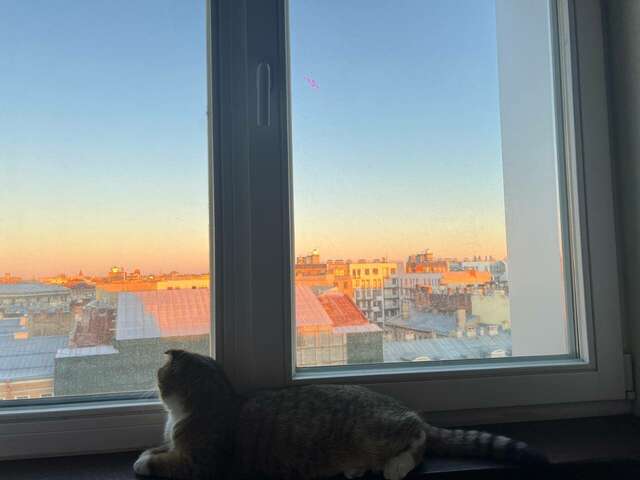 Гостиница Cosmos St. Petersburg Olympia Garden Hotel Санкт-Петербург-193