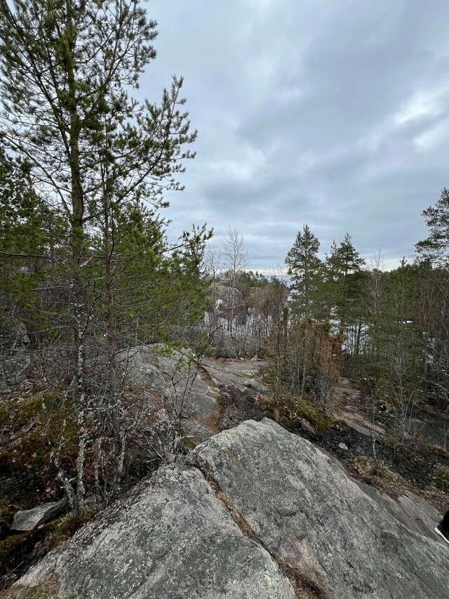 Гостиница Cosmos St. Petersburg Olympia Garden Hotel Санкт-Петербург-115